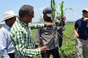 Plantea ANEC cambiar modelo de agricultura en México