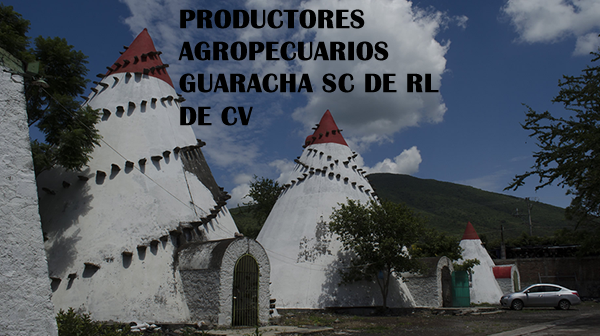 Productores Agropecuarios Guaracha SC de RL de CV